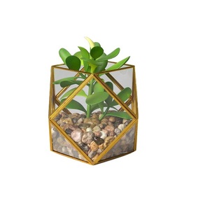 High Quality Custom Shape Glass Metal Terrarium for Living Room Table Top Decoration or Wedding Venue Standard Size Vase - Product Image 6