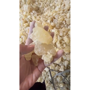 Gomme Damar naturelle séchée de qualité supérieure, jaune blanchâtre, disponible en gros pour l'utilisation dans les résines et vernis naturels - Product Image 1