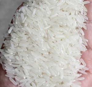 RIZ AU JASMINE PARFUMÉ DE QUALITÉ SUPÉRIEURE PREMIUM EXPORT, IDÉAL pour LES COMMANDES EN VRAC DE CUISINE GOURMET, LIVRÉ DANS LE MONDE ENTIER AVEC EXCELLENCE - Product Image 4