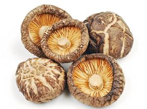 NEW HARVEST SHIITAKE <b>MUSHROOM</b> BEAUTIFUL BROWN COLOR VIETNAM FARM 100% ORGANIC - Product Image 4