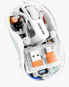 Chuột Rùa sư tử xanh - Product Image 4