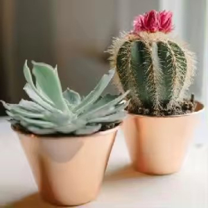 Jardinière murale en plastique suspendue au design moderne de petite taille pour la décoration de la maison à bas prix - Product Image 5