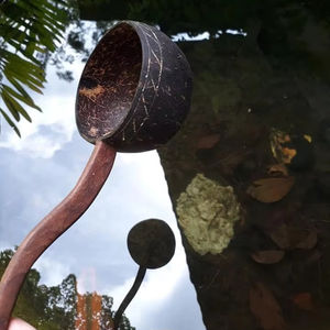 Cuchara de agua de coco-VIET FARGIMEX Producto de agua de coco de alta calidad - Product Image 1