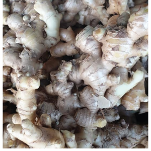 Racines de gingembre fraîches à la texture lisse, arôme doux et emballage soigné, prêtes à l'exportation vers les marchés mondiaux - Product Image 2