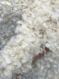 Écailles de poisson-un produit avec de nombreuses utilisations et complètement naturel - Product Image 4