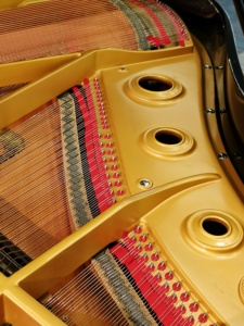 Kawai no.350 Grand Piano 88 Keys <b>Weighted</b> Solid Wood <b>Keyboard</b> Classic Style Professional Floor Mount no350 - Product Image 4
