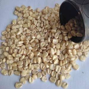 Maíz Amarillo Puro No Transgénico 2025 para Consumo Humano y Animal, Grado Alimenticio, Superventas, Buena Calidad, Listo para Exportar - Product Image 3