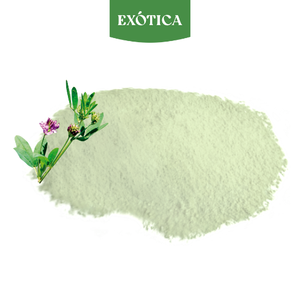 Alfalfa ผงสารสกัดจากใบอุปทานที่ดีที่สุดที่มีคุณภาพสูงเปรูขายส่ง - Product Image 3