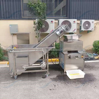 Automatische sinaasappelpers zonder schillen, sapmachine, passievruchtenpulp-extractor, pulpmachine