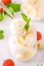 Pâte aromatisante granfrutta pour litchi italien MEC3 Gelato à crème glacée à usage industriel en vrac au goût de litchi - Product Image 5