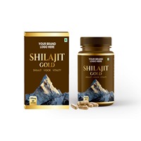 Pure Shilajit HerbalCapsules Boost Stamina Energy & Vitality avec Minéraux Naturels OEM ODM Export Japon