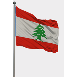 Custom World <b>Flag</b>-Digital Printing Aluminum <b>Pole</b> Nylon Plastic Polyester Vinyl Display Automotive - Product Image 1