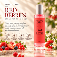 Désodorisant en spray aux baies rouges, marque privée, 100 ml |   Parfum fruité sucré longue durée |   Fabricant OEM Espagne