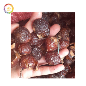 Best Quality Soap Nuts with Strong Cleaning Power and Affordable Bulk Price for International Buyers - Product Image 4