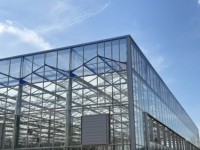 Moderne slimme multi-span Venlo-type glazen kas met hoge lichttransmissie, automatische bediening en aanpasbare afmetingen