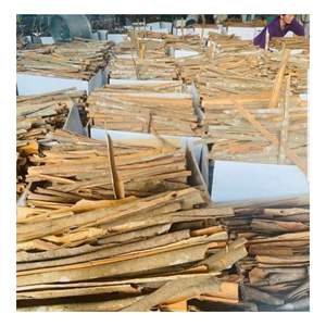 Guipi/qirfa/split Cinnamon ส่งออกในราคาที่แข่งขันได้ - Product Image 3