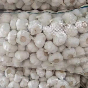 Ajo fresco y seco de Vietnam, venta al por mayor, vacaciones - Product Image 2