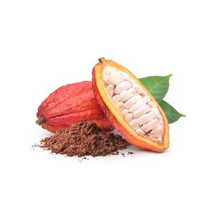 Haricots de cacao de la côte ivoire | Fournisseurs de haricots de cacao en vrac - Product Image 6