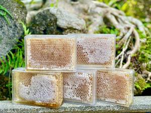 100% panal de miel de Vietnam fresco enzimas puras panal dorado Natural mejora la digestión y aumenta la resistencia y la energía del cuerpo - Product Image 5