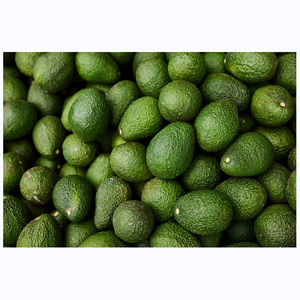 Aguacate Fresco / Aguacate Hass, Aguacate en Venta - Product Image 6