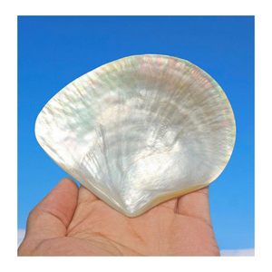 Pièces de coquillage en nacre Vietnam Tranches de nacre pour incrustation de meubles Décoration de bijoux Artisanat et conceptions d'art mural - Product Image 2