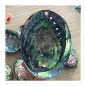 Piedra preciosa pulida con concha de abulón de Vietnam Natural con temática Oceánica para proyectos de joyería y decoración inspirada en la costa - Product Image 2