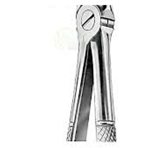 Forceps d'extraction en acier inoxydable de haute qualité pour racines supérieures, fig. 30 exportateurs et fabricants - Product Image 5