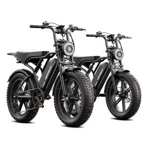 จักรยานไฟฟ้า 48V 750W ขนาด 20 นิ้ว 15Ah สไตล์วินเทจ สำหรับขับขี่ออฟโรด ระยะไกล มีสินค้าใน EU สำหรับผู้ใหญ่ ความเร็ว 61-80 กม./ชม. มอเตอร์อื่นๆ - Product Image 2