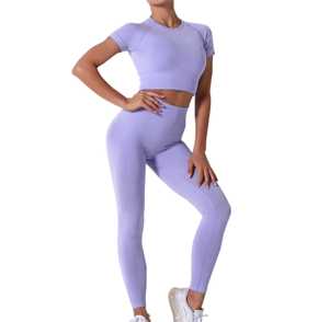Compresión elástica Uso Yoga Set Scrunch Back Conjunto de mallas sin costuras para mujeres Nuevo estilo Logotipo personalizado Mujeres Yoga Set - Product Image 2