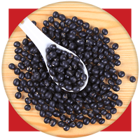 Poudre de haricots noirs NutriBlend, style séché, pour boissons et desserts sains, poudre de haricots noirs riche en nutriments