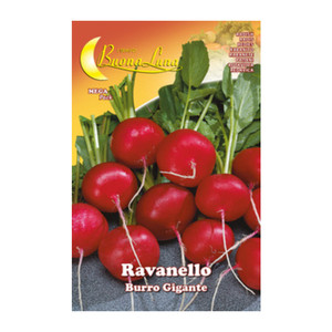 Ravanello Gigante Semi-Orto - Product Image 1