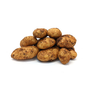 Patatas frescas egipcias naturales superventas 100% Spunta de alta calidad y muy deliciosas para la exportación - Product Image 1