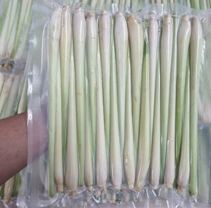 การส่งออกตะไคร้ที่เชื่อถือได้: พันธมิตรของคุณสำหรับสินค้าสดและแช่แข็งจำนวนมากจากเวียดนาม - Product Image 5