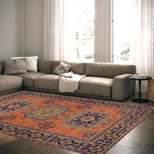Printed Rug: Vintage Style Soft Floor Mat for Home Decor,Velvet Rug - Product Image 3