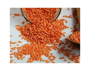 Compre Lentejas Rojas Secas Orgánicas Naturales a Granel de Alta Calidad a Bajo Precio para una Cocina Deliciosa y Nutritiva, Lentejas Rojas 100% Rojas - Product Image 1