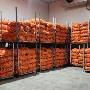 Vente en gros de fruits et légumes de qualité à l'exportation du Vietnam offrant des carottes et des légumes frais surgelés dans le monde entier - Product Image 1