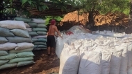 Cocopeat du Vietnam 5kg, bloc de tourbe de coco brun clair, support de culture organique pour hydroponie et serres, export en vrac Viet Seafarm