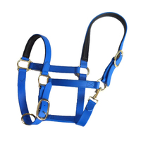 Harnais de nez à boucle réglable en nylon/spandex, design personnalisable, ajustement confortable pour l'équitation