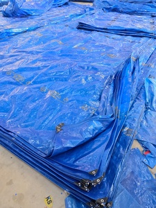 Toiles en HDPE utilisées pour les bâches de camion, les tentes et les usages multiples, varient de 100 g/m² à 250 g/m² - Product Image 4