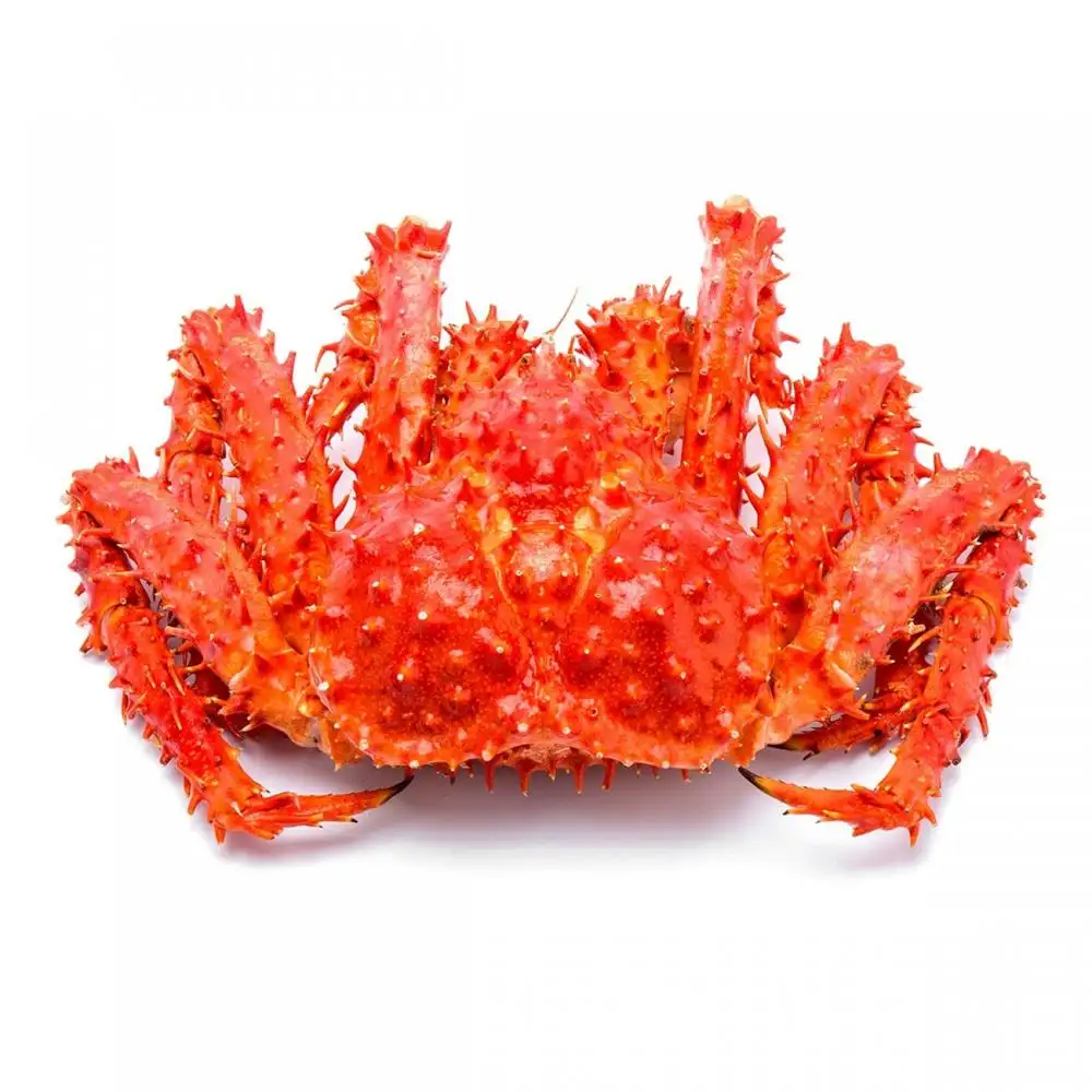 Kualitas Terbaik Natural Frozen Soft Shell Crab Standar Amerika Kualitas Live Mud Crab/Live King Crab/Soft Shell Crab dan Biru