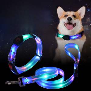 Wholesale Durable Soft Polyester Dog Leash with Night Walk <b>Glowing</b> LED Light USB Type C Rechargeable Colorful <b>in</b> <b>Dark</b> Safety - Product Image 1