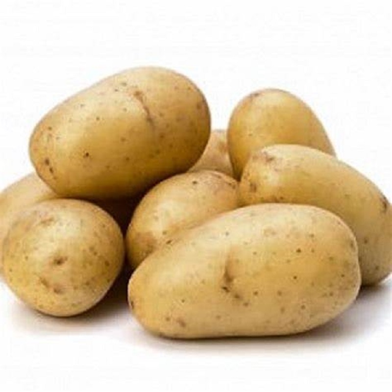 Patate gialle dorate fresche, patate fresche biologiche patate bianche di alta qualità