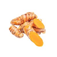 Hoge kwaliteit verse kurkumawortel, Vietnam oorsprong, in doos verpakt, Kim Minh International Food Processing & Industrial Use