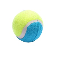 Balle de cricket de qualité supérieure avec logo personnalisé pour équipes sportives – Matériel et couleur sur mesure pour l'entraînement et la pratique – Poids 58g
