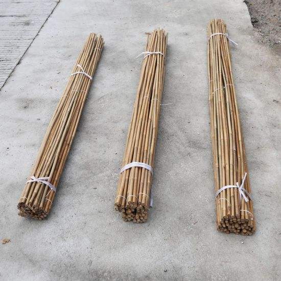 เหลืองอ่อน