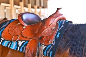 Venta Directa de Fábrica al Por Mayor a Precio Competitivo, Silla de Doma Inglesa de Cuero para Montar a Caballo/Sillas de Montar para Caballos al Por Mayor - Product Image 4