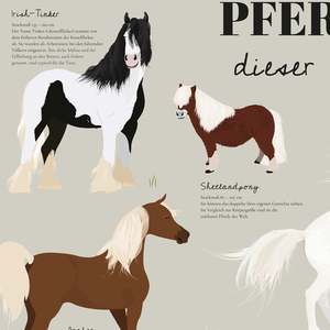 Modern Style Horses of the Earth <b>Poster</b> Featuring Famous Horse Breeds in Contemporary Design for Wall Decor - Product Image 6