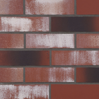 Tuiles en argile naturelle de qualité supérieure pour façades extérieures/intérieures, briques réfractaires solides résistantes aux acides avec un design contemporain
