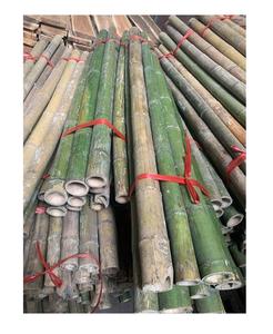 ผลิตทั้งขายเสาไม้ไผ่ธรรมชาติขนาดปรับแต่งการเกษตรคุณภาพดีที่สุดจากเวียดนามด้วยราคาที่ดีที่สุด - Product Image 5