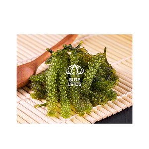 Raisins de mer de haute qualité, best-seller pour les aliments de BLUE LOTUS - Product Image 1